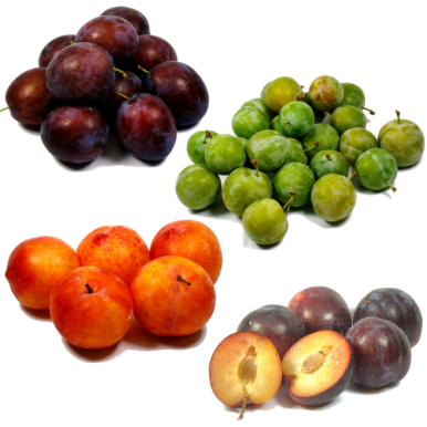 Panier de prunes personnalisé
